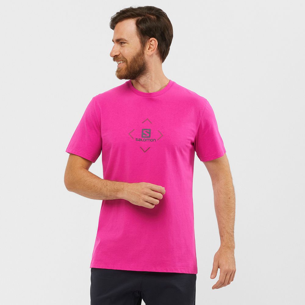 Salomon SALOMON COTTON M Camisetas Hombre - Moradas - Colombia (87512-ZJBT)